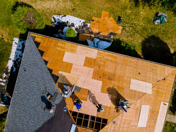 Best Roof Maintenance Services  in Mckinley, PA