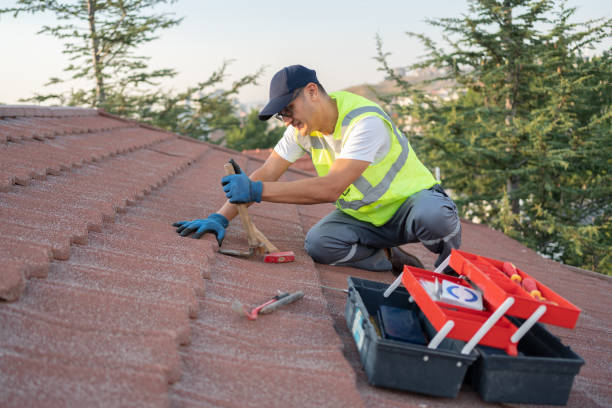 Best Roof Replacement Cost  in Mckinley, PA